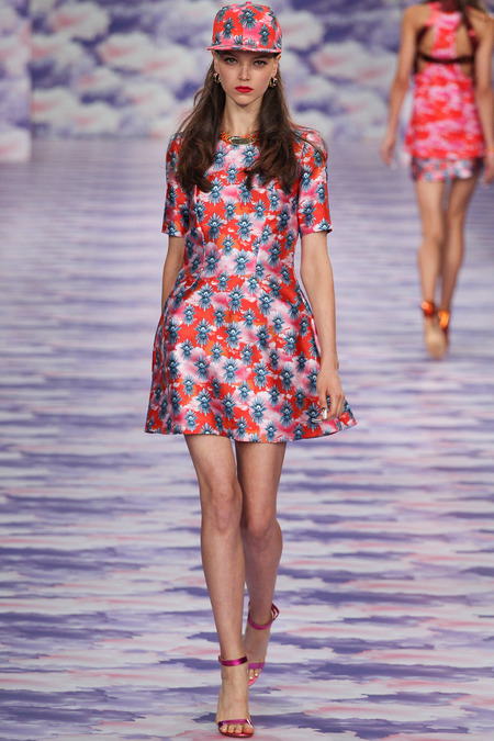 House of Holland, Spring 2014, Look 15 Photo: Marcus Tondo/Indigitalimages.com