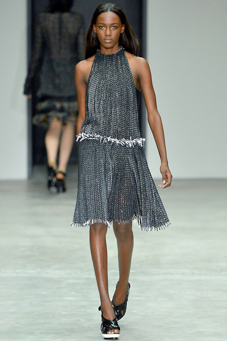 Calvin Klein Collection, Spring/Summer 2014, Look 21  Photo: Fablo Iona/Indigitalimages.com found on www.style.com 